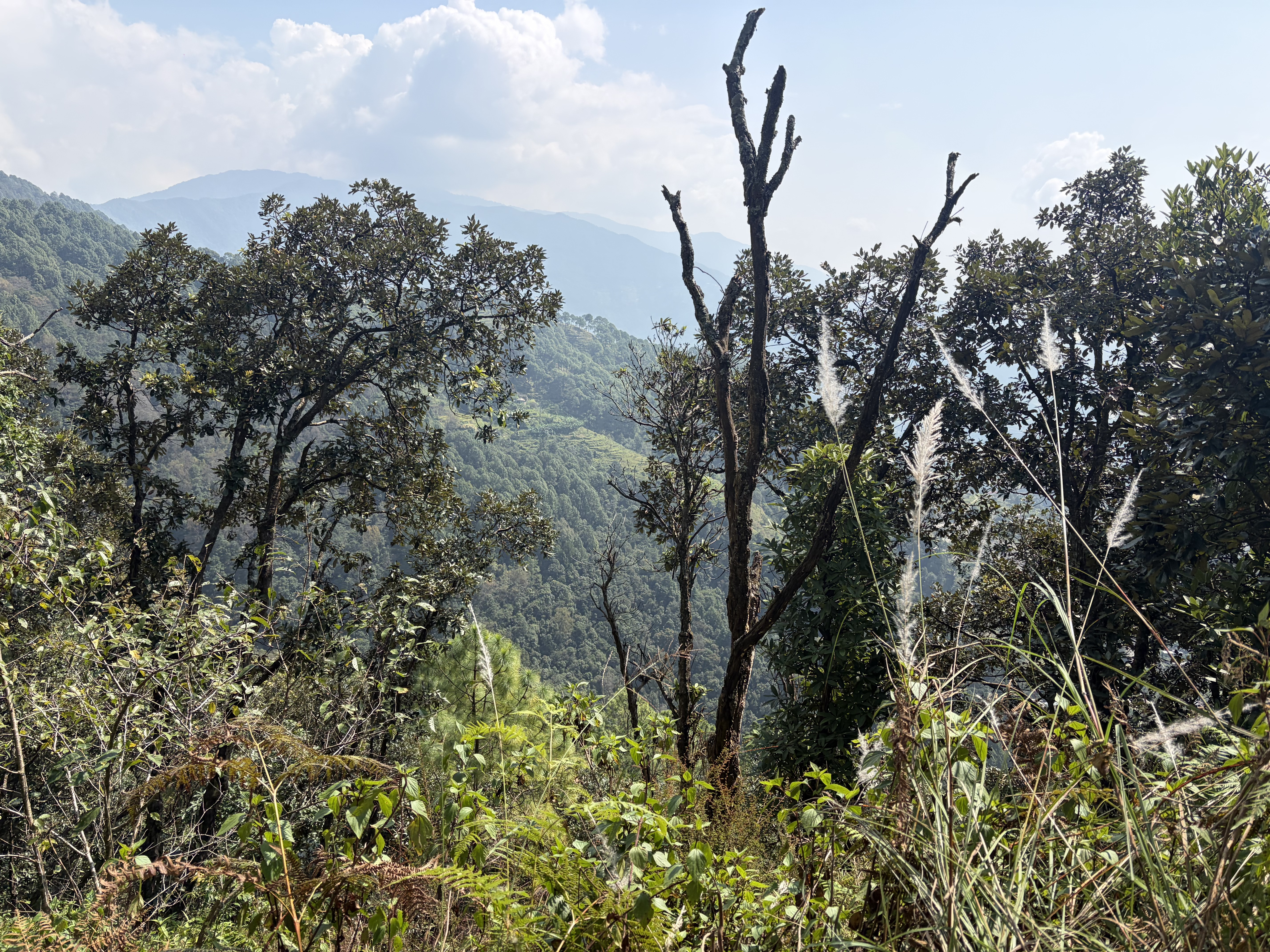 From Gurje Bhanjyang to Kakani: A Journey to Remember