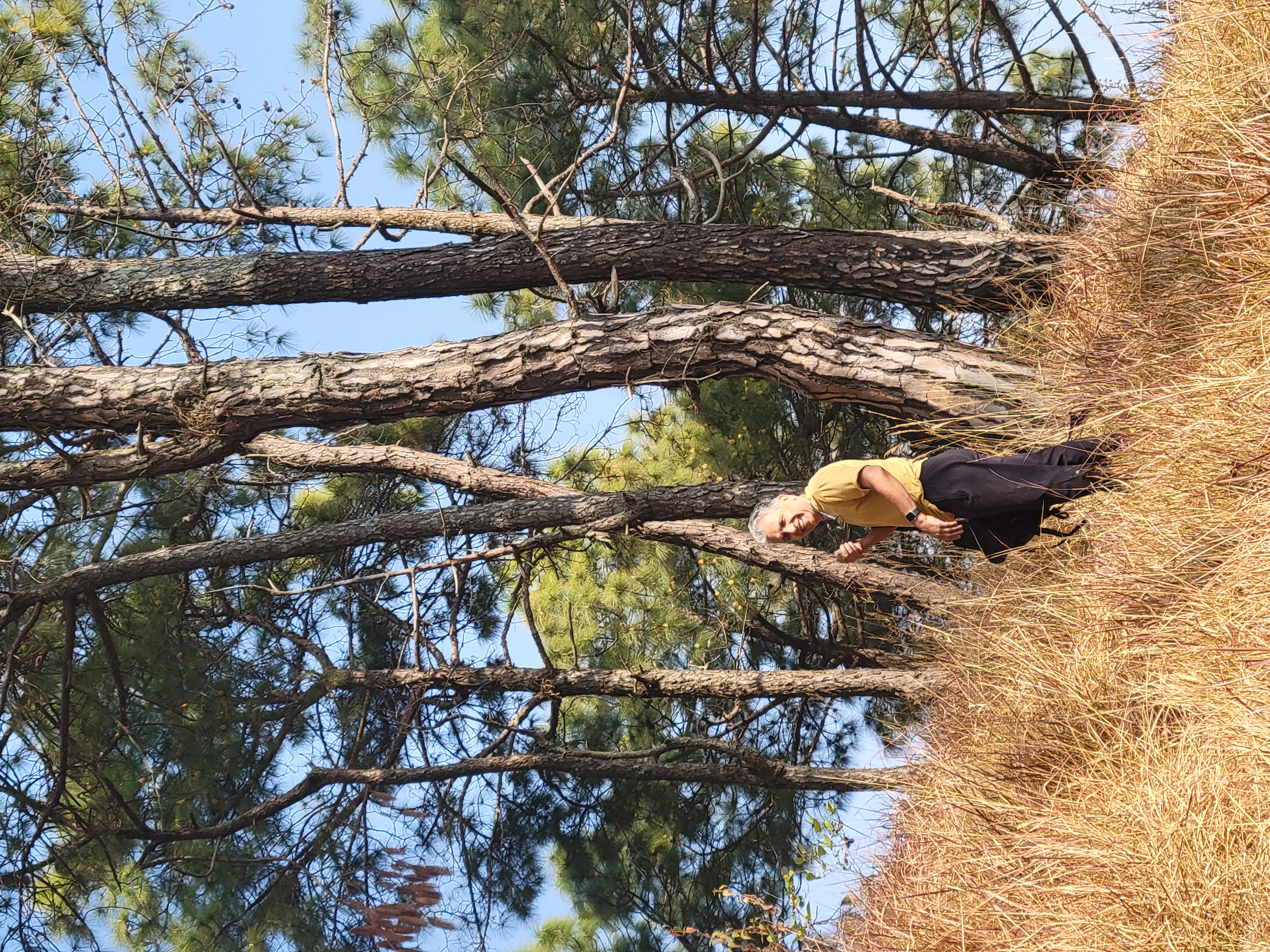 Hike from Hattiban to Chhap Dada